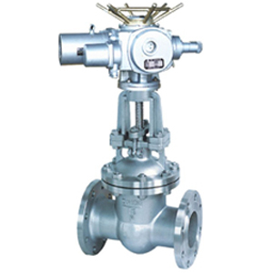 電動不銹鋼閘閥 電動不銹鋼閘閥