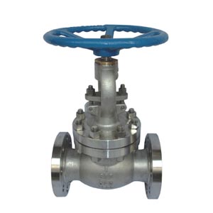 柱塞截止閥 柱塞截止閥