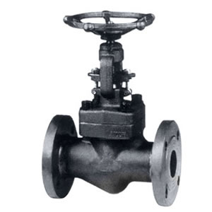 鍛鋼法蘭端截止閥 鍛鋼法蘭端截止閥