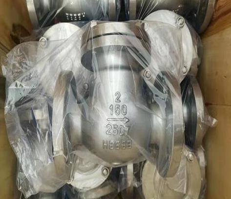 雙相鋼旋啟式止回閥 雙相鋼旋啟式止回閥