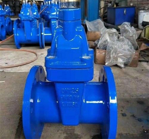 銅芯側(cè)鎖閉閘閥 銅芯側(cè)鎖閉閘閥