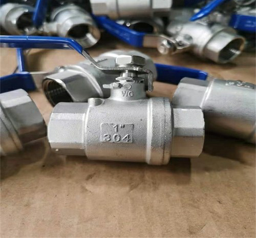 �z�����y