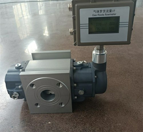 羅茨流量計 羅茨流量計